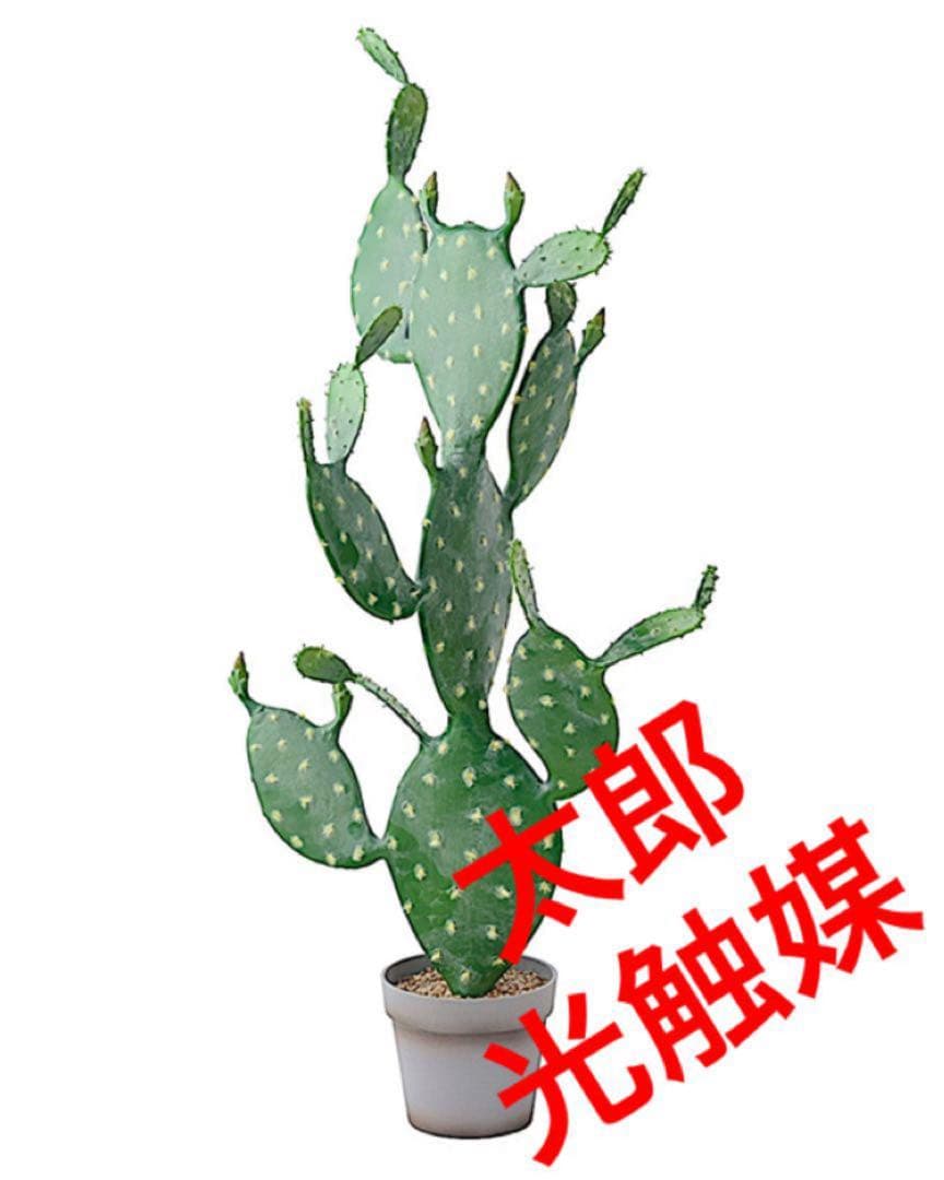 光触媒　人工観葉植物　ウォールグリーン　フェイクグリーン　ウチワサボテンz