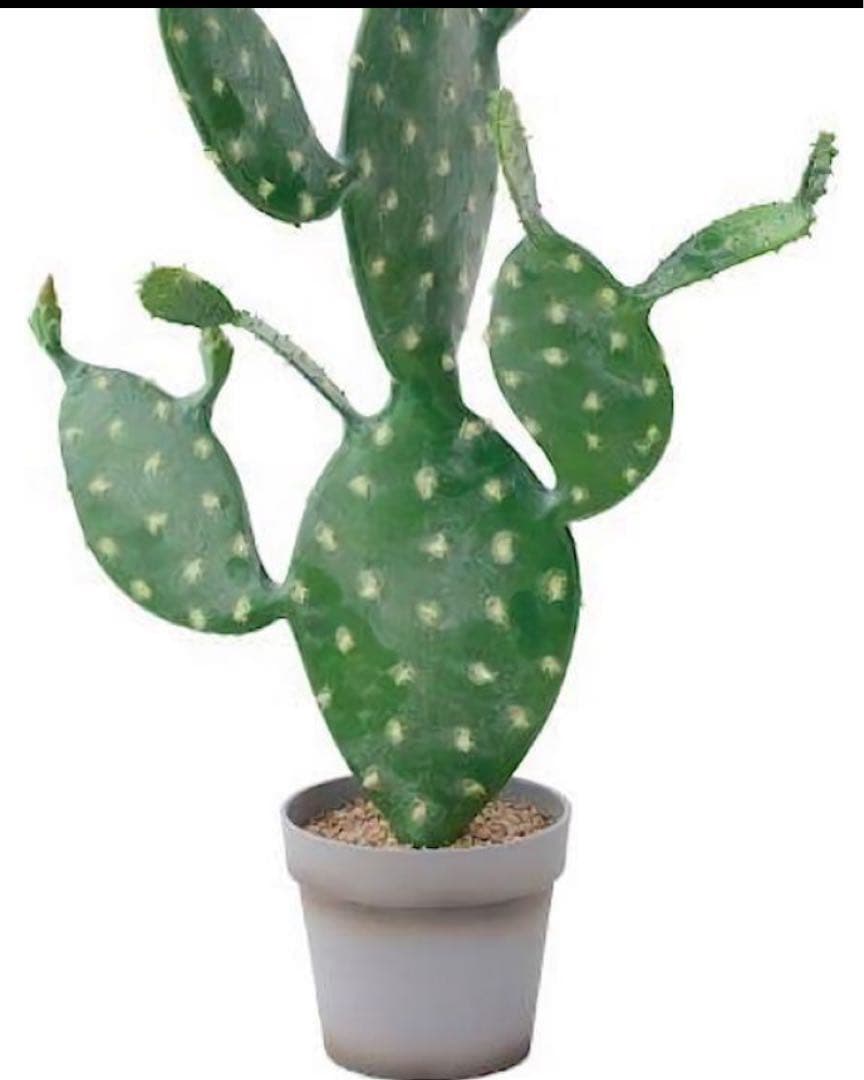 光触媒　人工観葉植物　ウォールグリーン　フェイクグリーン　ウチワサボテンz