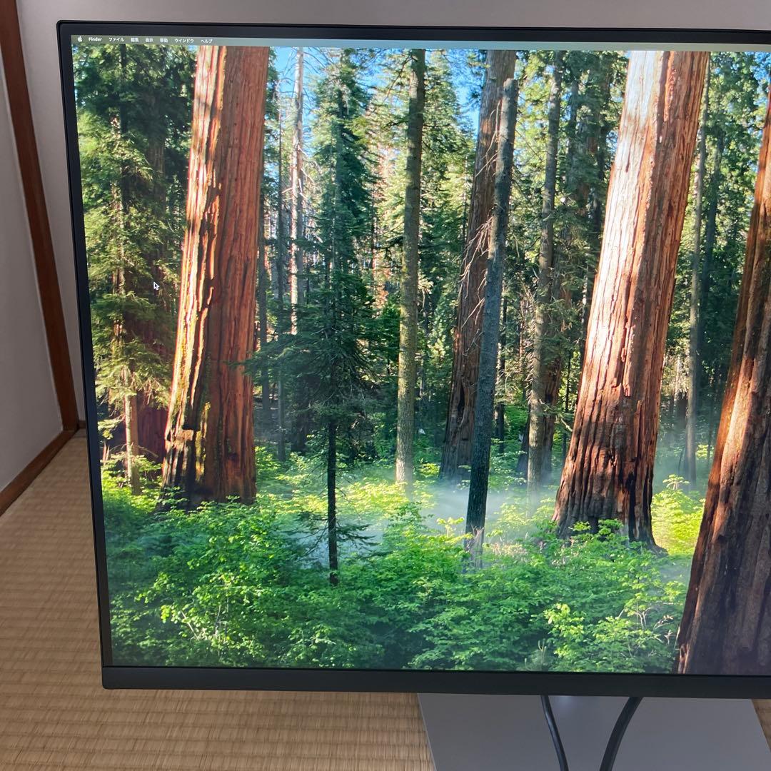 Dell 32インチ4K USB-Cハブ モニター P3223QE 保証付　32