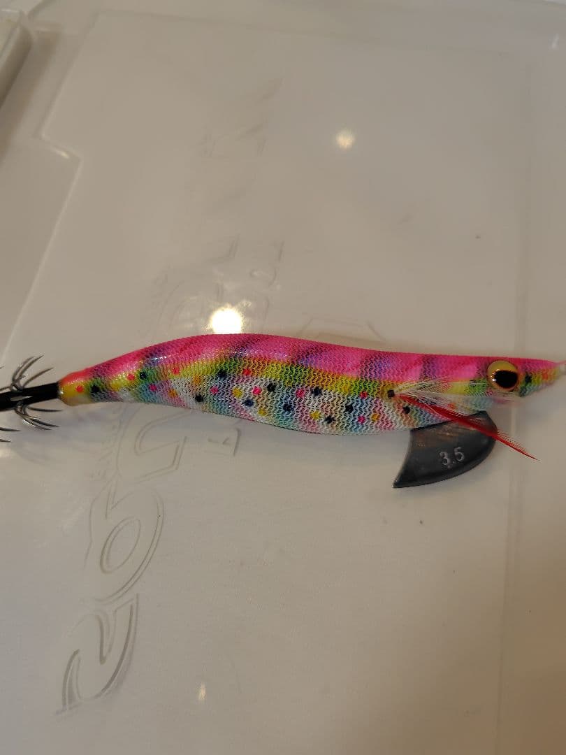 1月 限定価格⚠️‼️値下げ、エバーグリーン　エギ番長　エギング引退セット‼️