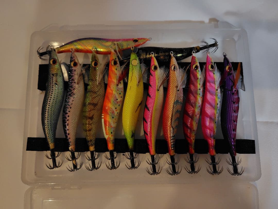 1月 限定価格⚠️‼️値下げ、エバーグリーン　エギ番長　エギング引退セット‼️