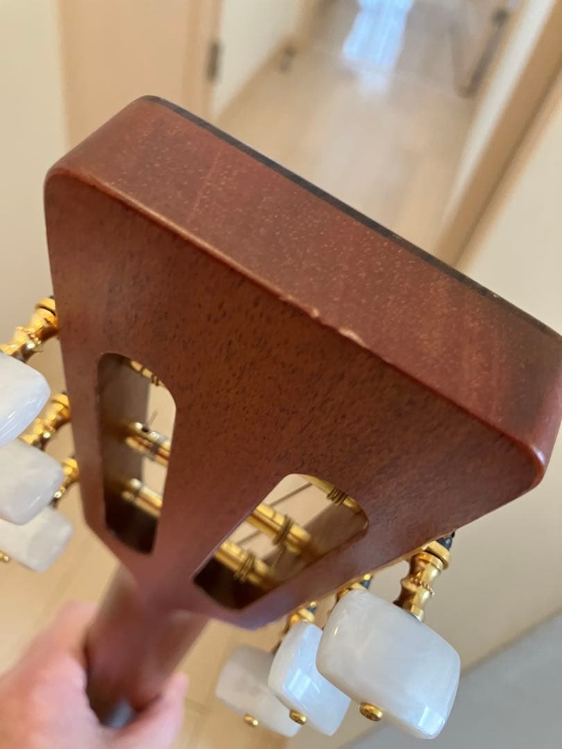 オールコア Takamine PTU409K