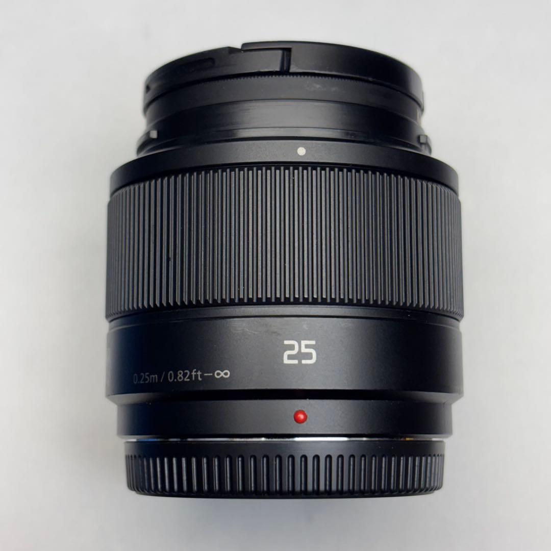 LUMIX GX8 レンズセット