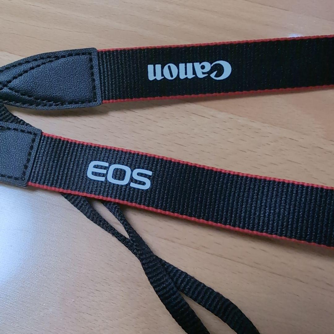 【SALE】Canon EOS M100 ブラック レンズ2種フード フィルター