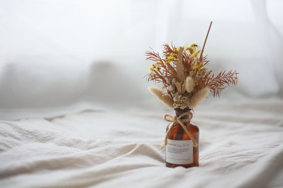 Super-Takumar 50mm F1.4 前期型 〈8枚玉〉【良品】