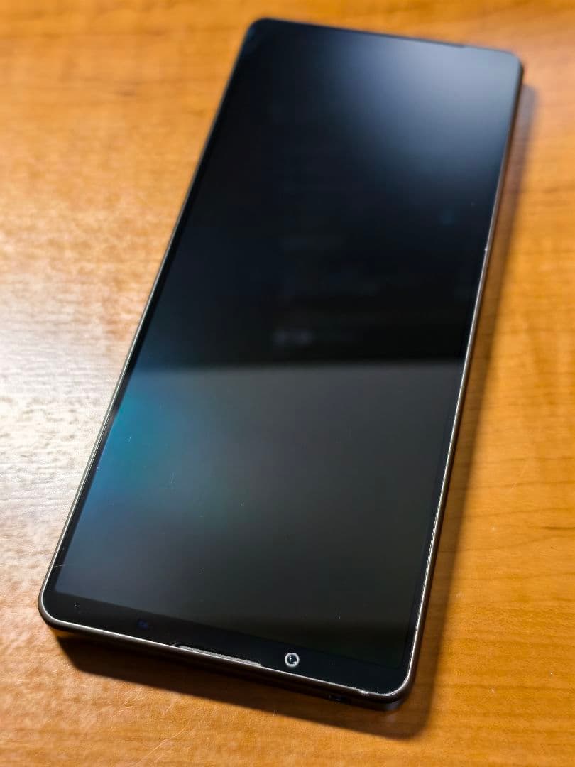 SONY Xperia 1Ⅳ SOG06 [美品]