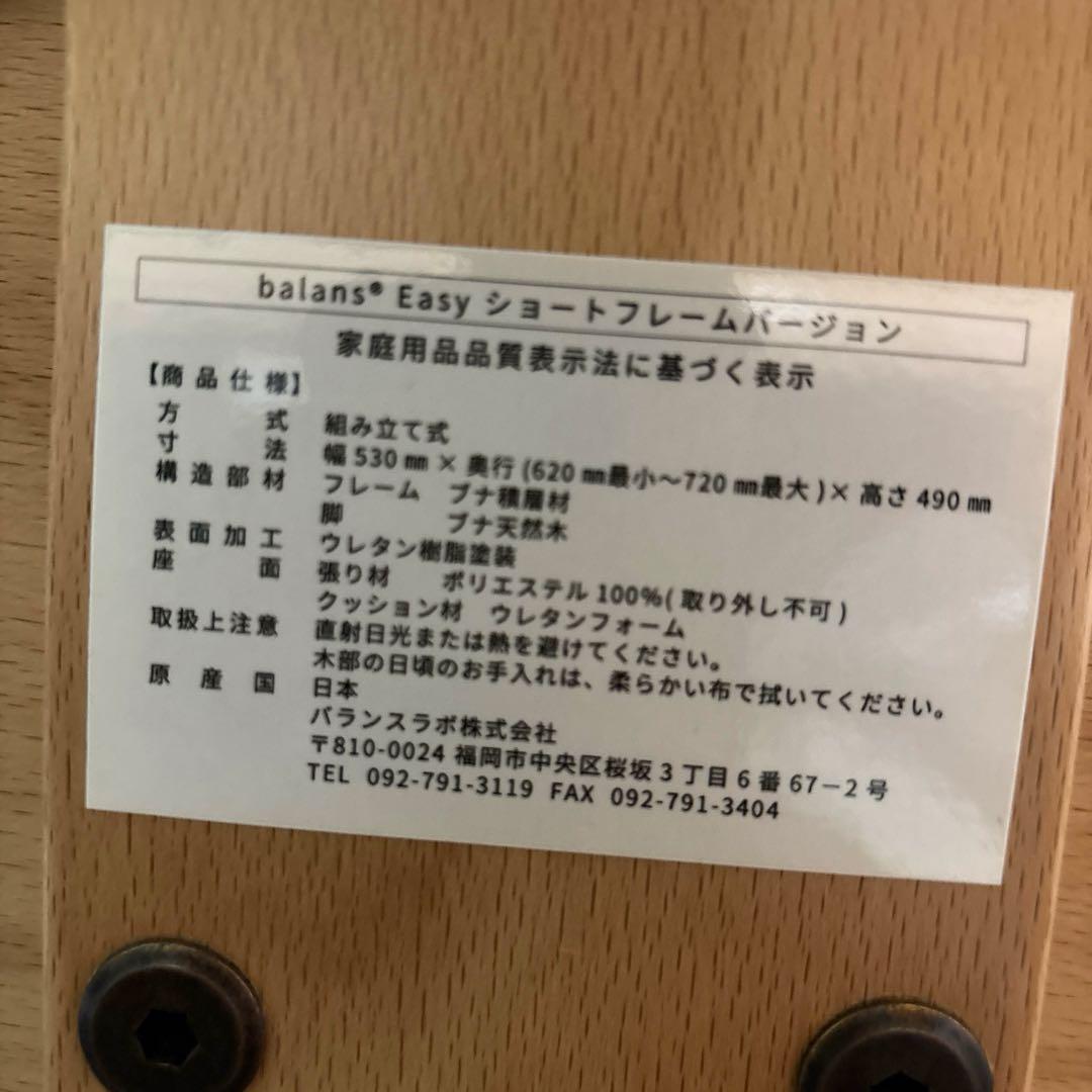【美品】balans Easy バランスイージー ショートフレーム オプション付