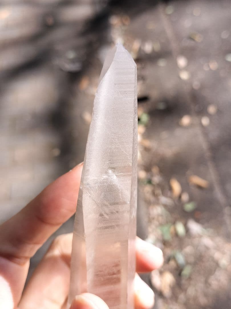 【早いもの勝ち超特価】オールドレムリアン　ピュアレイ