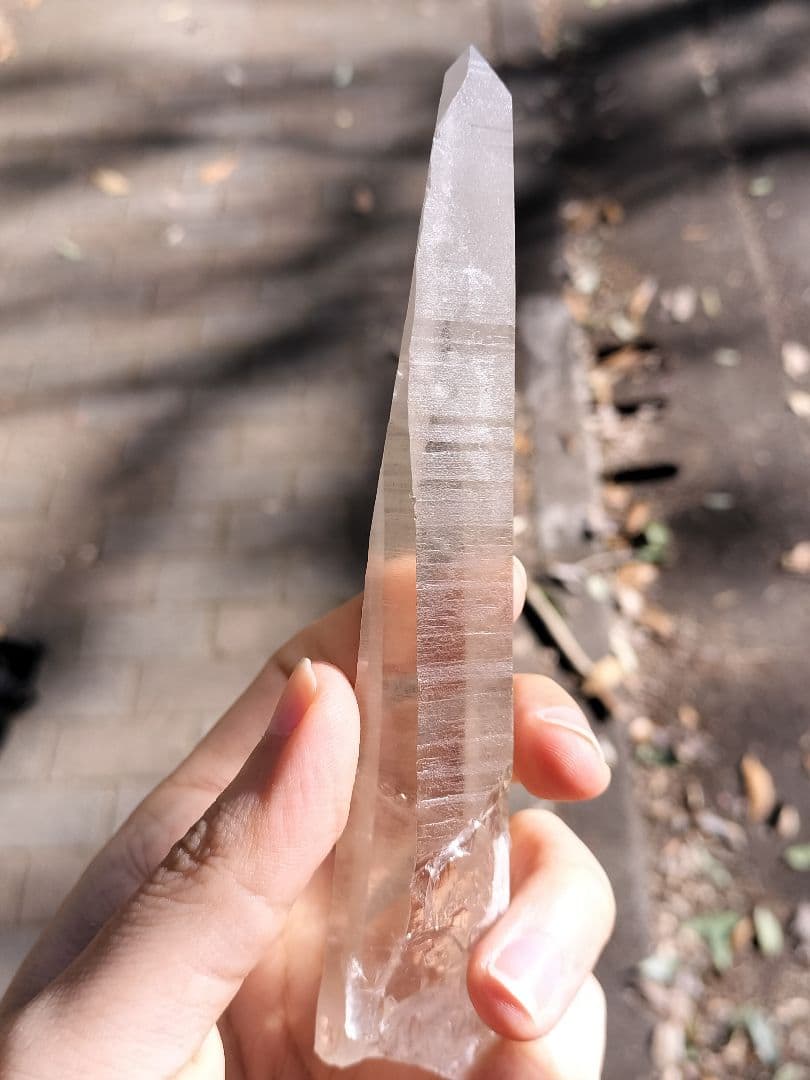 【早いもの勝ち超特価】オールドレムリアン　ピュアレイ