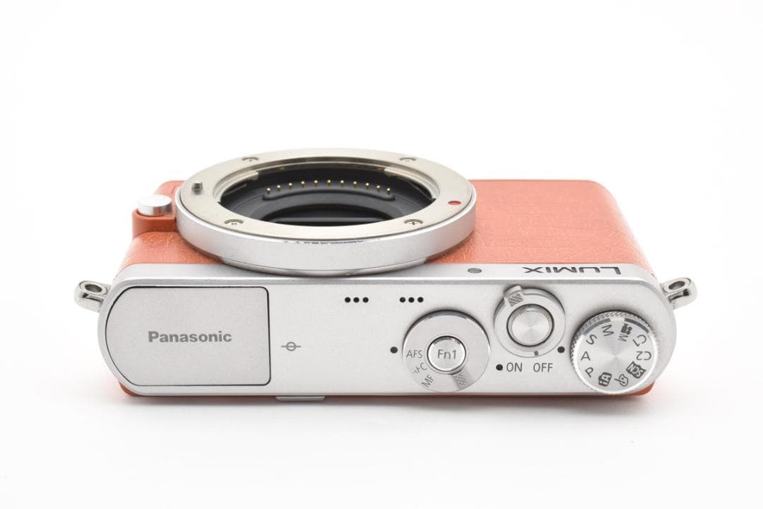 美品 Panasonic DMC-GM1 ショット数525回 1244