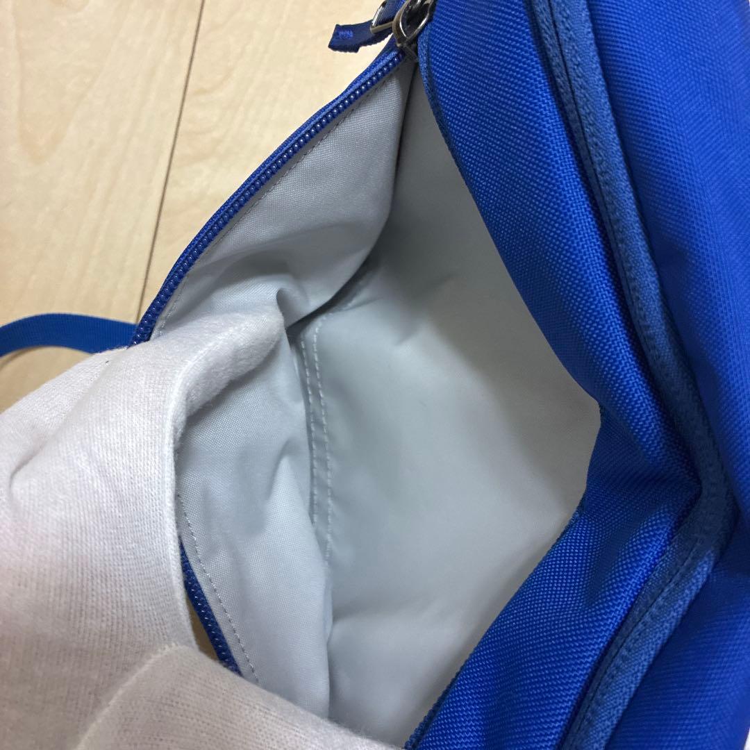 美品国内正規品アークテリクス　マンティス2 ブルー