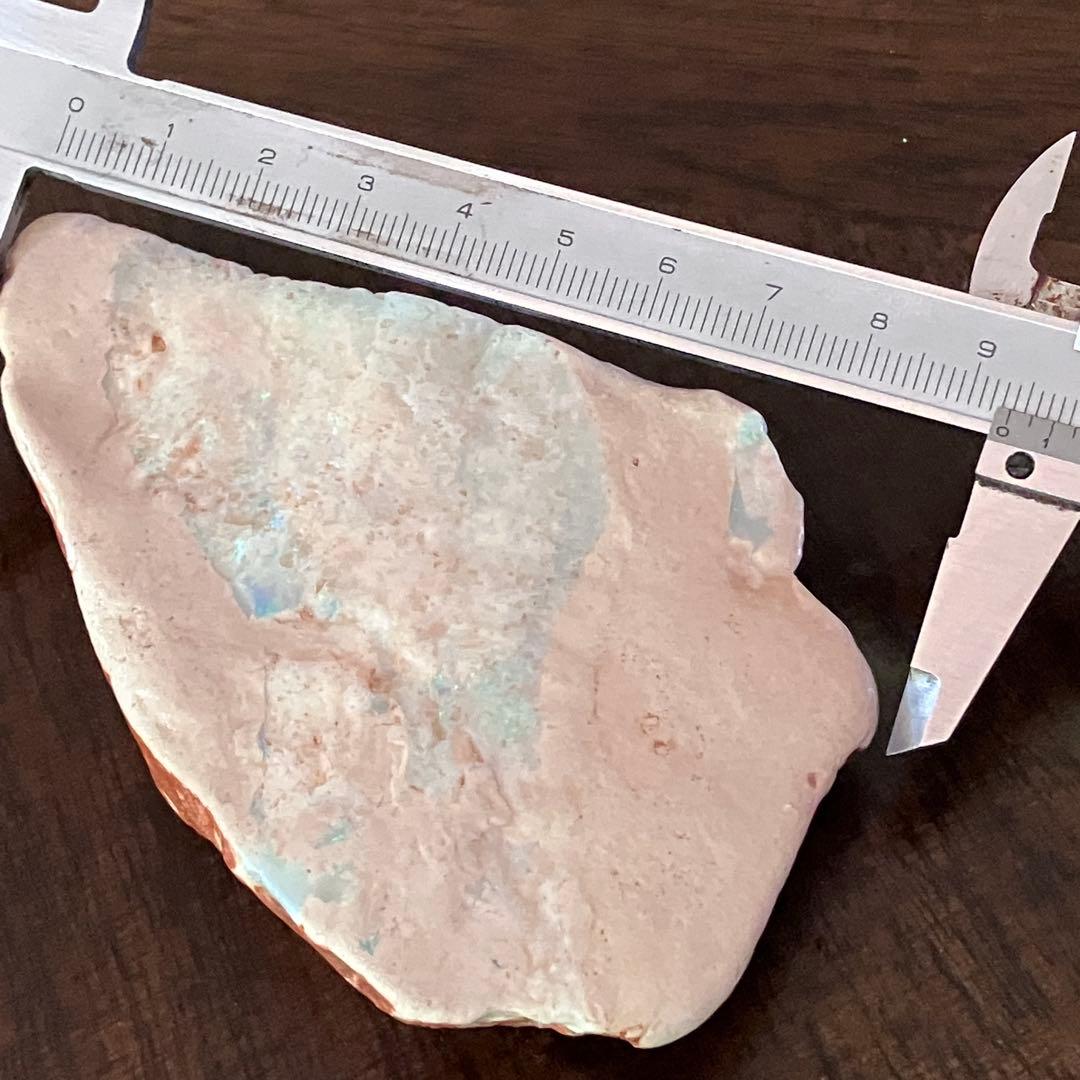 プレシオサウルスのヒレ骨 オパール 化石 標本 オーストラリア クーバーペディ産