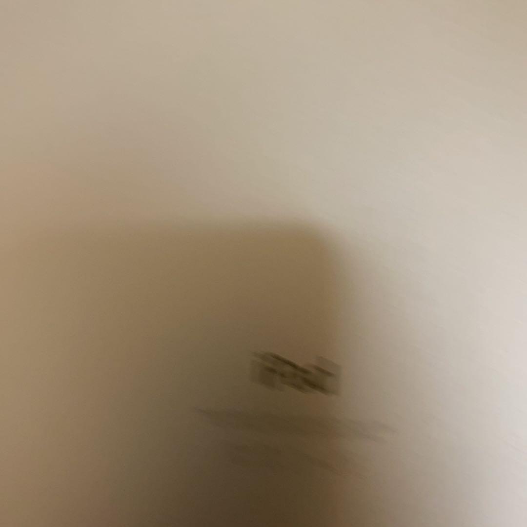 iPad本体 iPad Pro 128GB