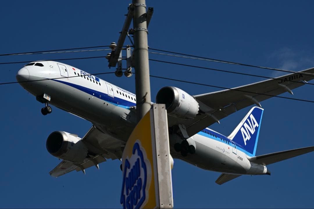 SIGMA 150-600mm F5-6.3 DG OS HSM ニコンF