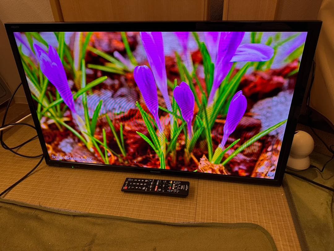 SHARP シャープ　32型　テレビ 2T-C32AE1 2019年製　超美品！