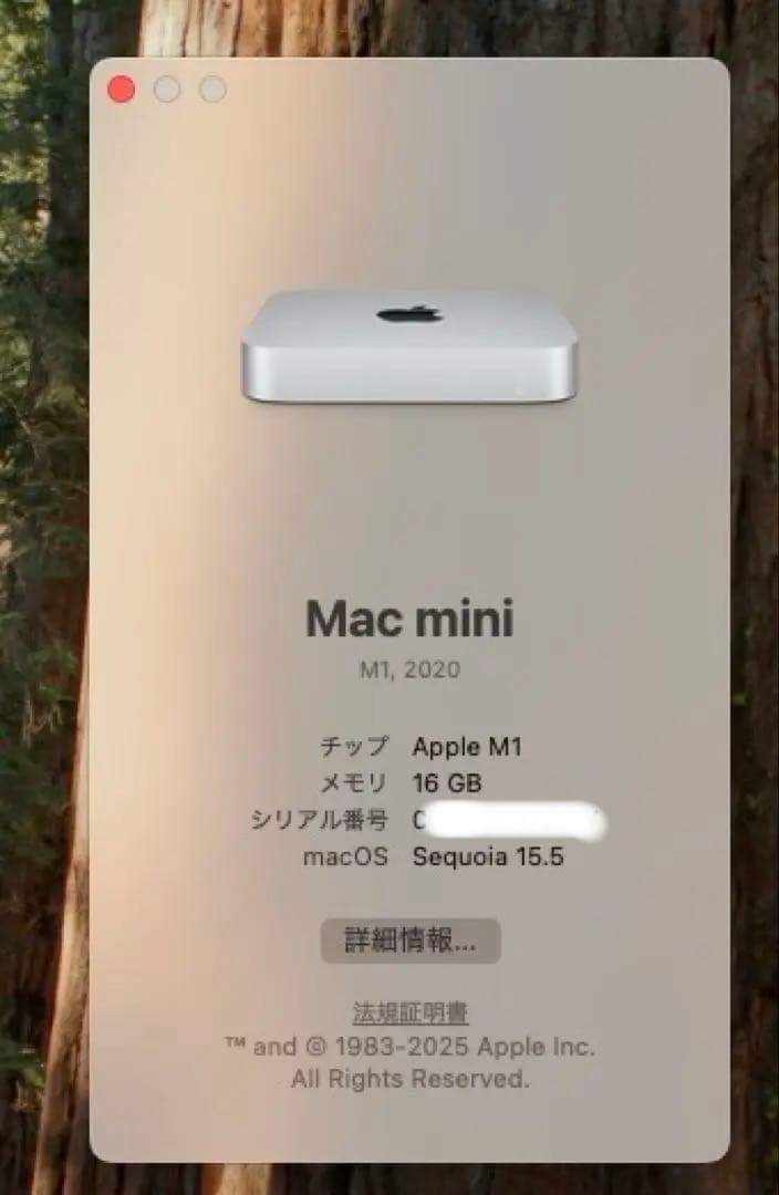 Mac mini 2020 メモリ16GB ストレージ256GB M1チップ