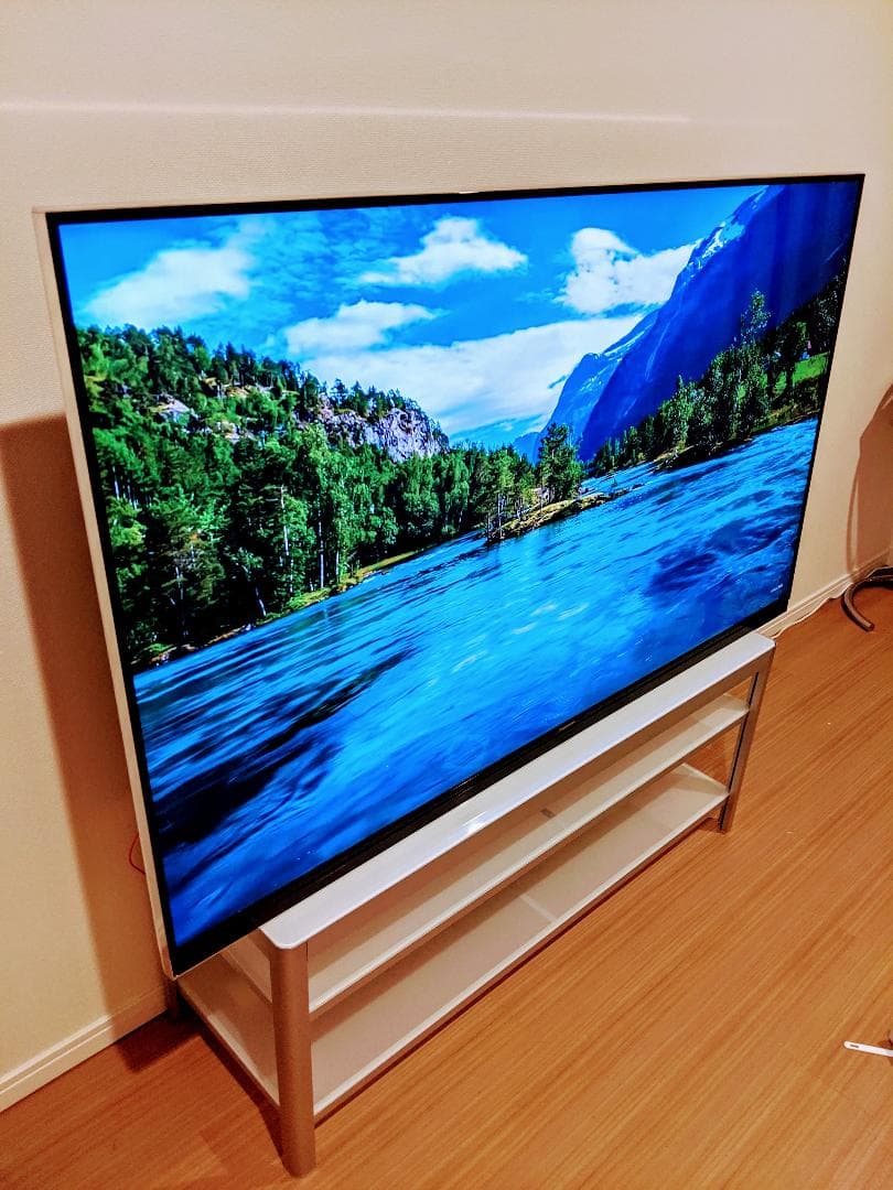 パナソニックＶＩＥＲＡハイビジョン液晶テレビ６５インチ