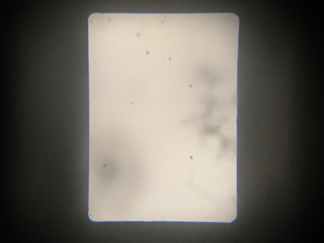 【整備済　美品】ベージュ　Canon demiハーフカメラ　露出計ok＃1317