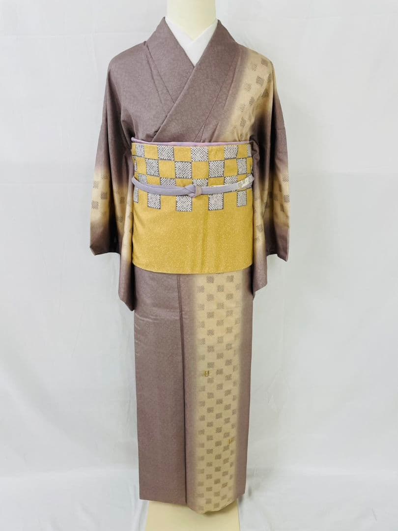 お見分け済　　佐野一生　染大島紬創作訪問着と袋帯セット