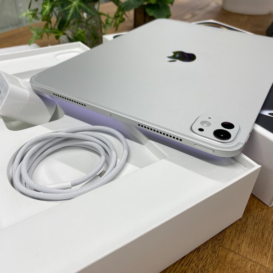 iPad Pro 11インチ M5 256GB シルバー WiFiモデル送料無料