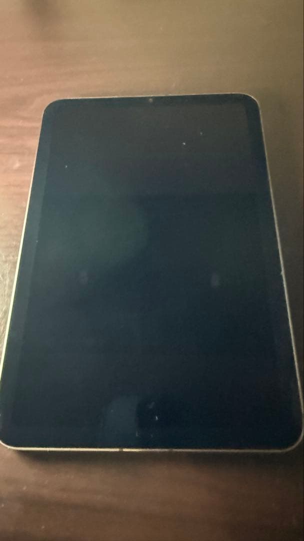 iPad本体 iPad mini 6 256GB Wi-Fi+Cellular au