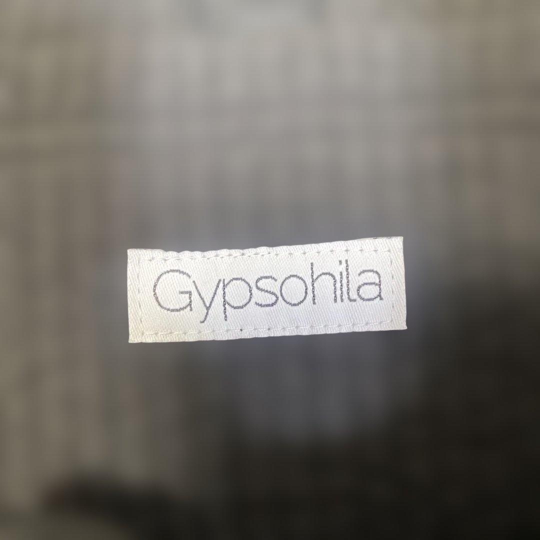 ❤︎ジプソフィア gypsohila ピクニックバック❤︎