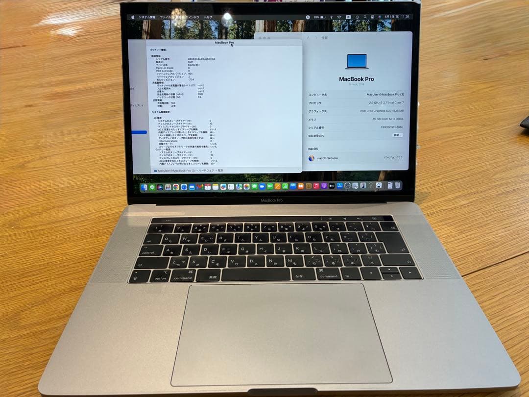 Apple MacBook Pro 2018モデル 15インチ シルバー
