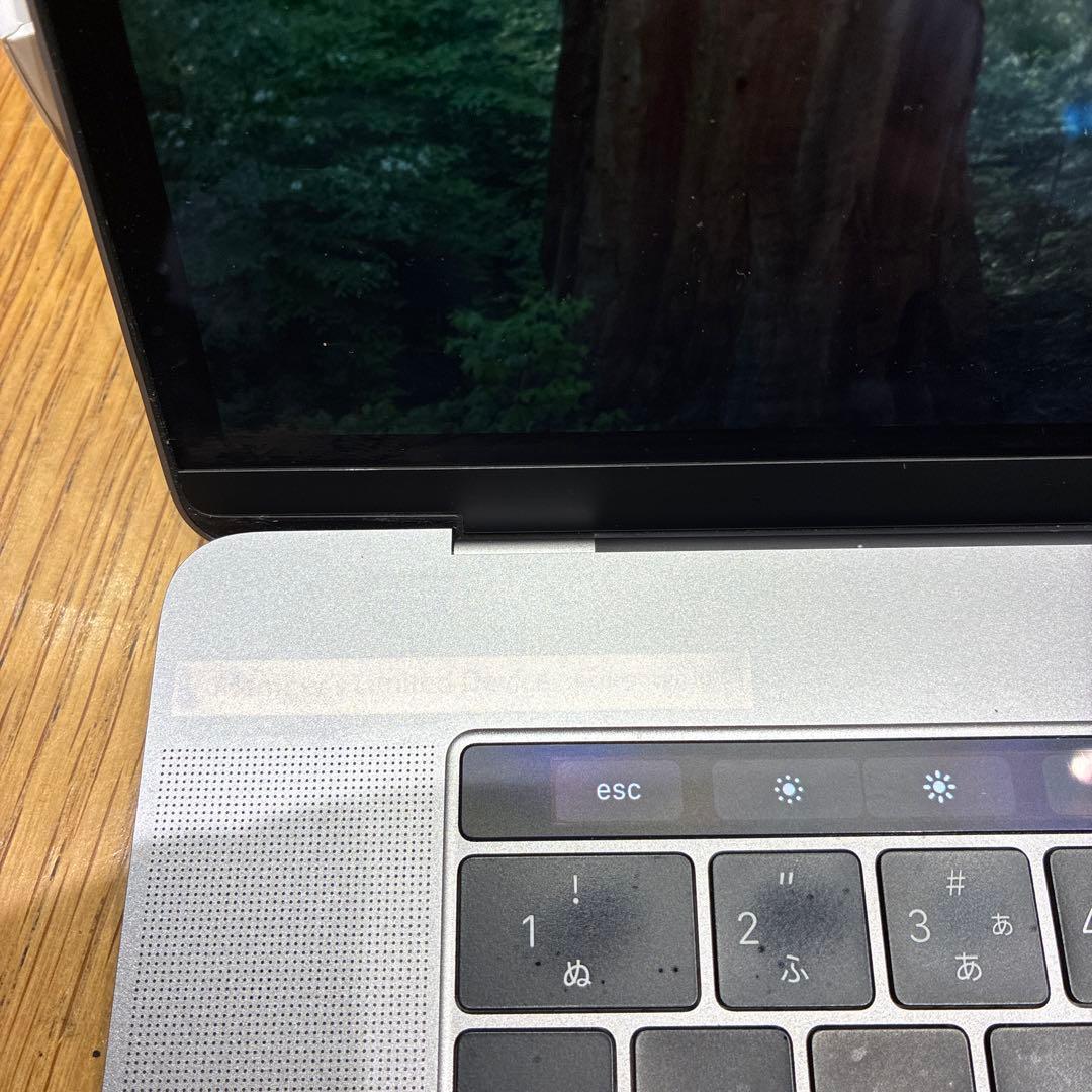 Apple MacBook Pro 2018モデル 15インチ シルバー