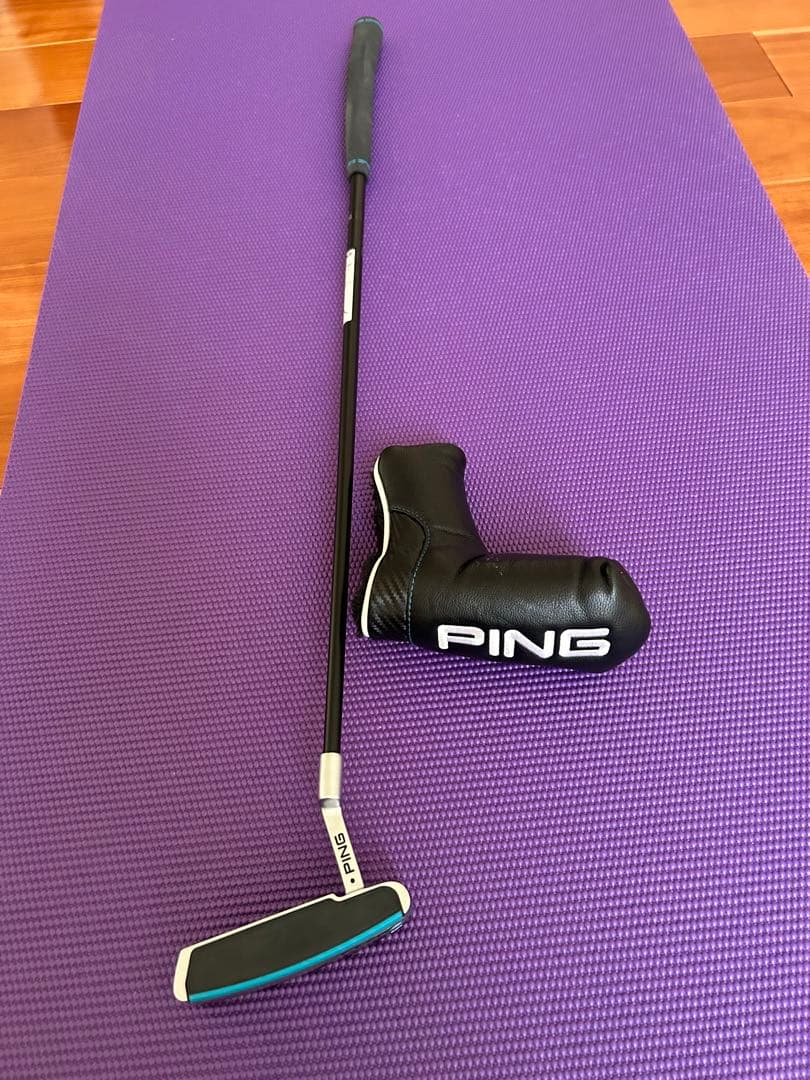 PINGアンサーSIGMA2、34インチ