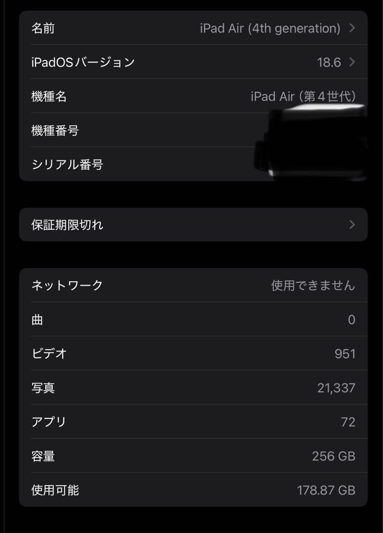 Apple iPad Air第4世代 256GB セルラーモデル　本体 おまけ付