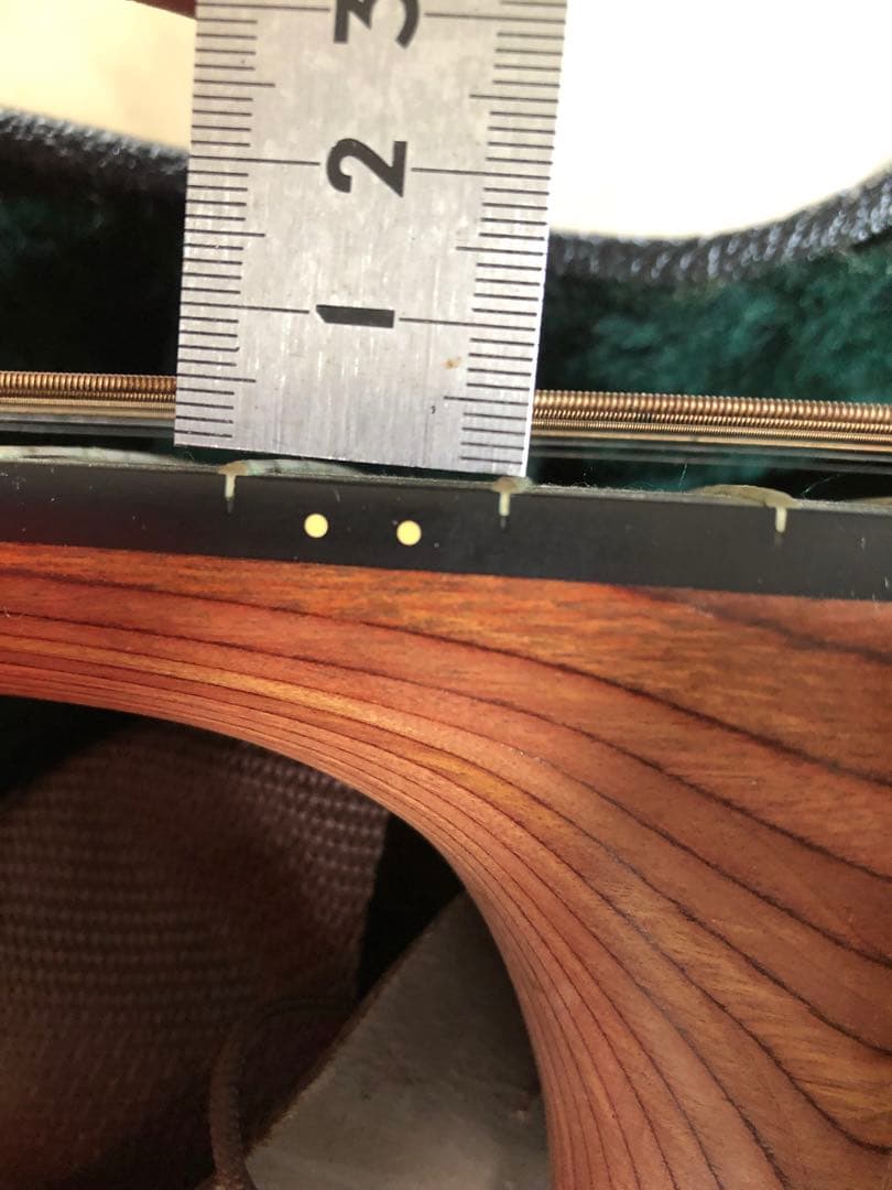 再再値引Martin&Co.アコースティックギター DRS2 ハードケース付美品