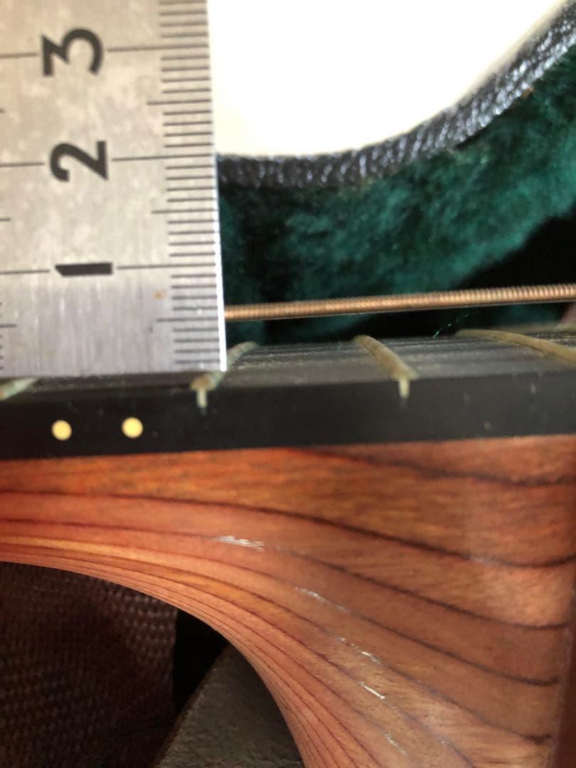 再再値引Martin&Co.アコースティックギター DRS2 ハードケース付美品