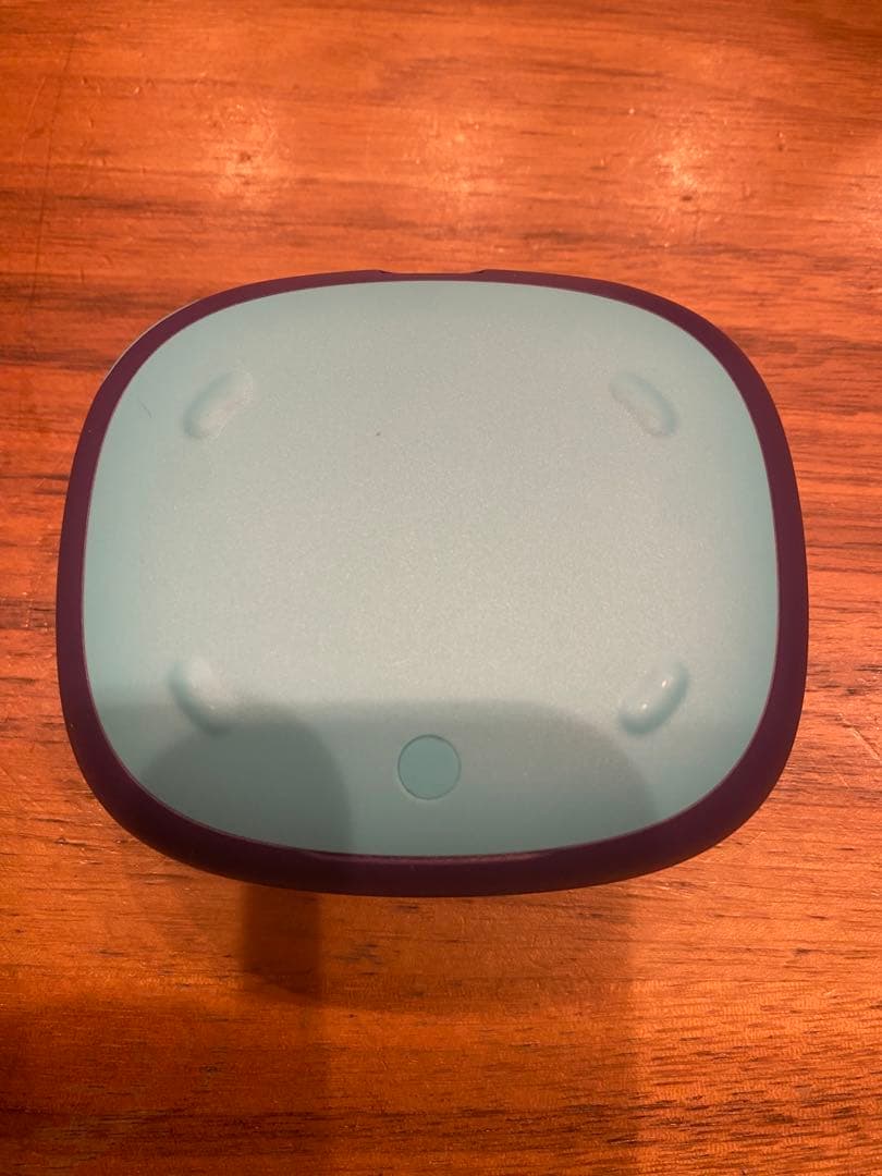 JBL 公式限定 完全 ワイヤレスイヤホン ENDURANCE ZONE