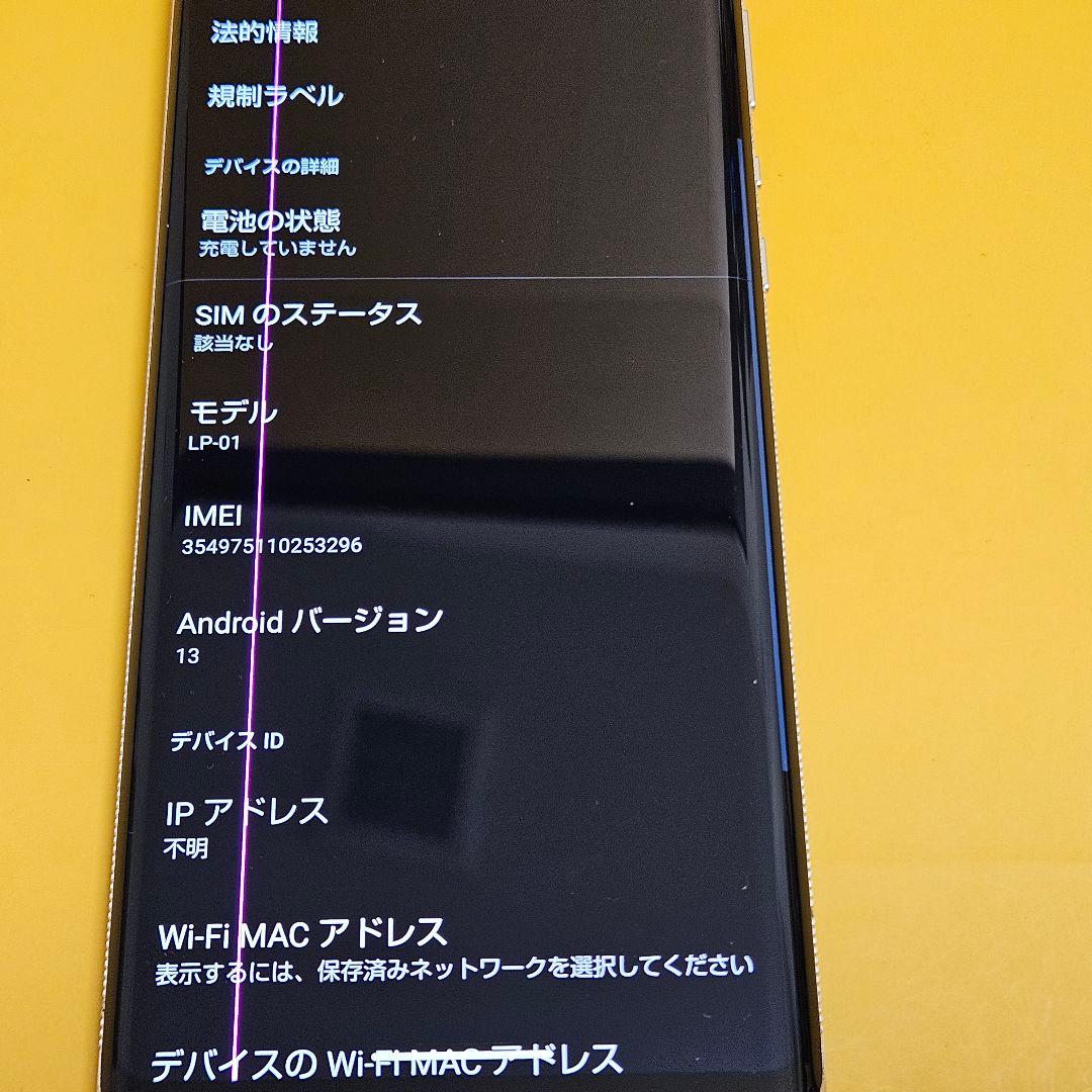 LEITZ PHONE 1 LP-01 256GB ｜24時間以内発送#296