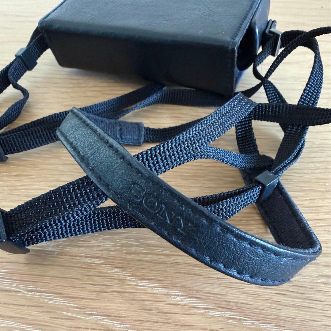 SONY Cyber-shot サイバーショットDSC-WX300 おまけ付