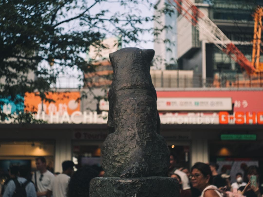 広角の鉄板 Leica Summaron 35mm F3.5 オールドレンズ