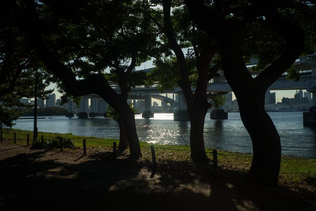 広角の鉄板 Leica Summaron 35mm F3.5 オールドレンズ