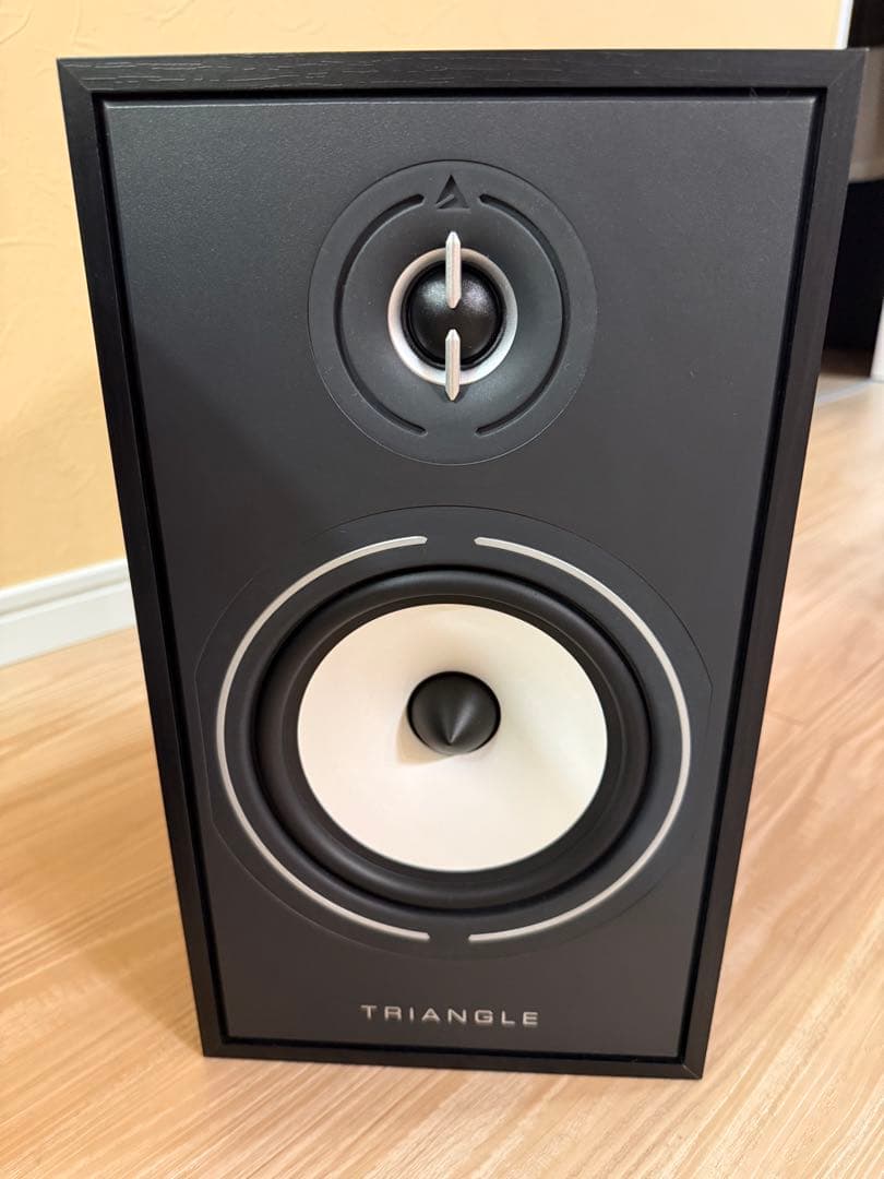 極美品　TRIANGLE Borea BR03 Connect スピーカー　黒