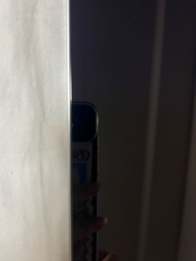 Apple iPad pro 第五世代1tb Wi-Fi