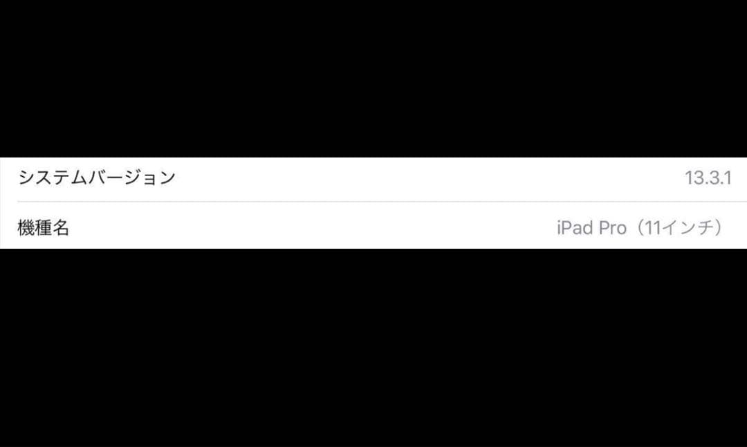 最終値下げ iPad Pro 11インチ セルラーモデル iOS 13.3.1