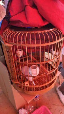 手作り竹専用の竹彫刻芸隆鳥籠