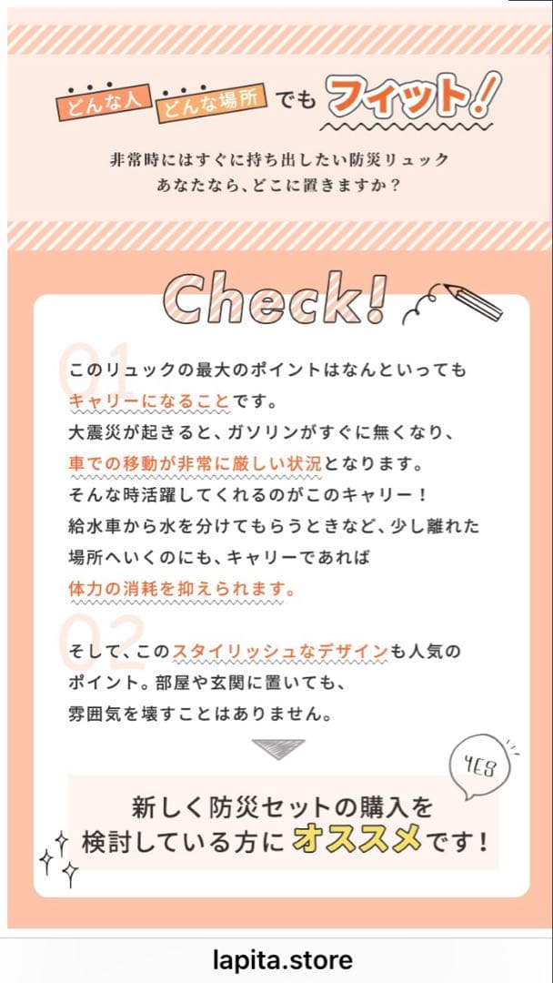 専用★ラピタ 防災キャリーリュック Lサイズ 防災リュック2個セット