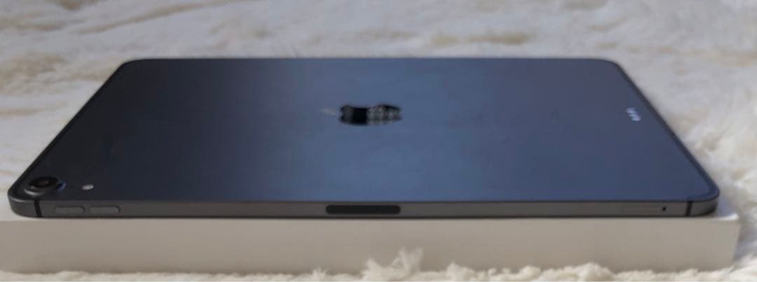 【年始割】iPad Pro 11インチ 第1世代 256GB 【すぐ発送】