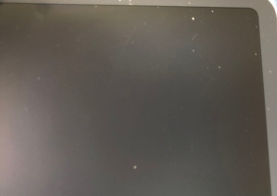 【年始割】iPad Pro 11インチ 第1世代 256GB 【すぐ発送】