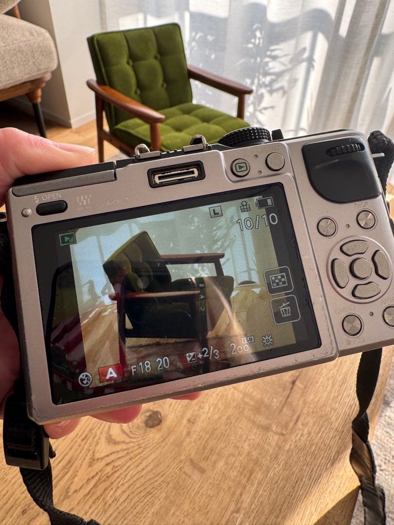 Panasonic LUMIX DMC-GX1 ボディ