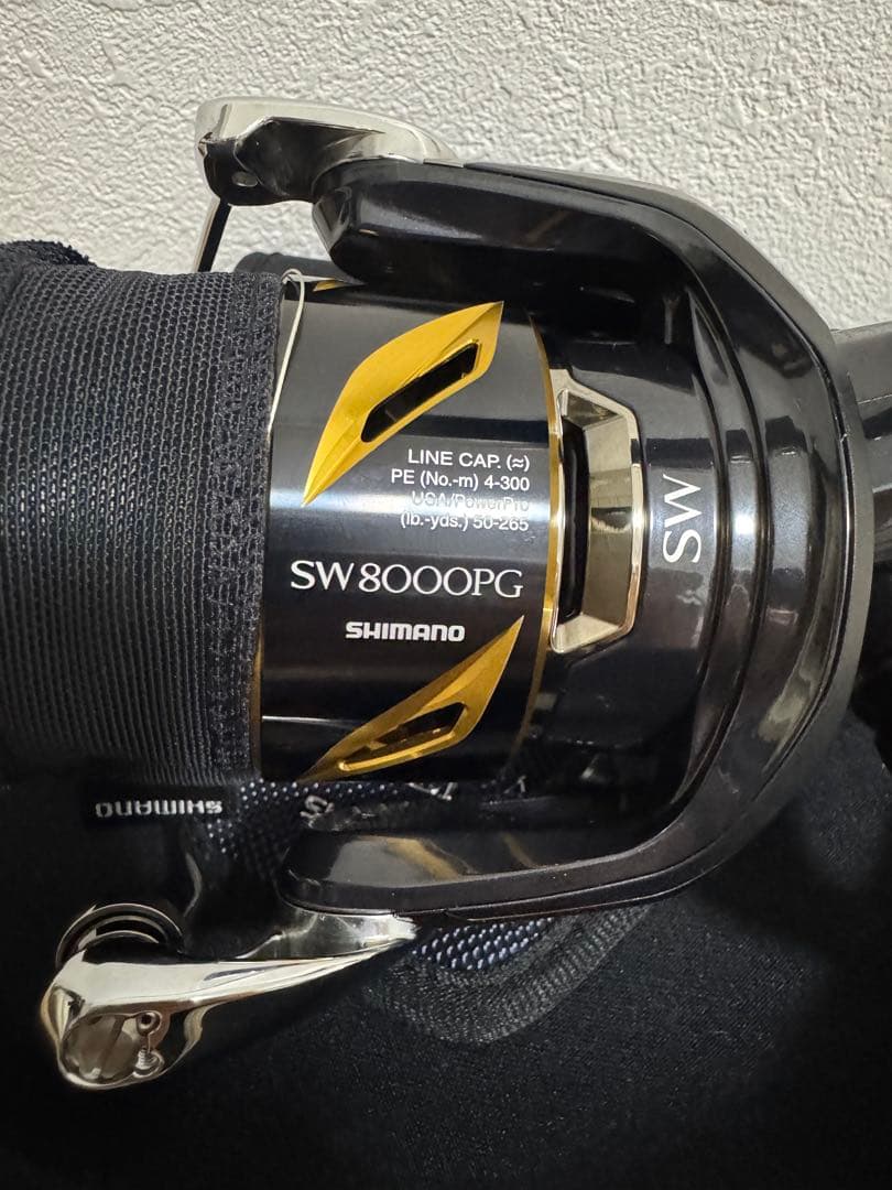 19ステラsw8000PG