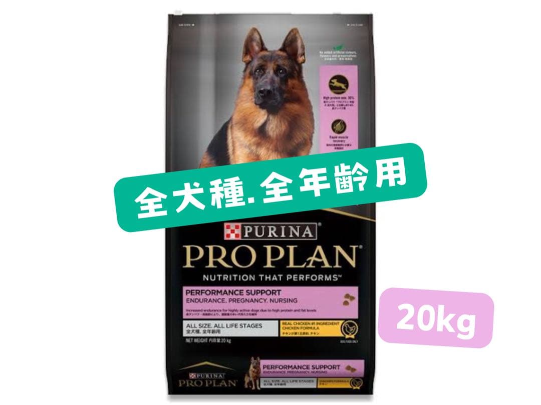 ドッグフード yukisora