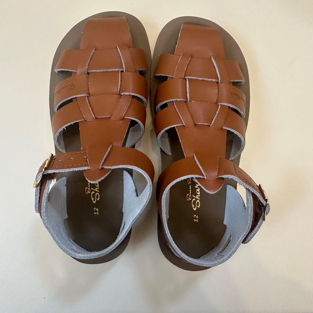 【新品】shark tan size12 ソルトウォーター saltwater