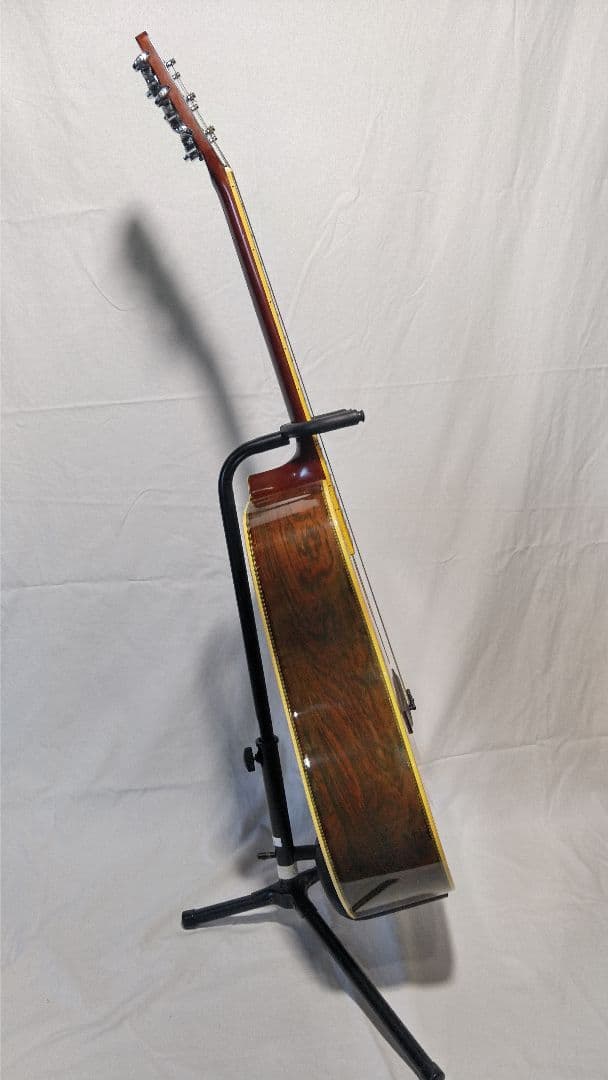 メ*ン様 Morris 　W-40