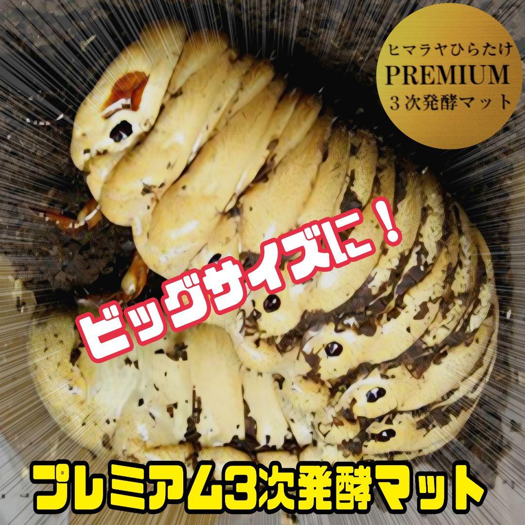 極上品！ヘラクレス181リミ羽化！プレミアム3次発酵カブトムシマット【100L】